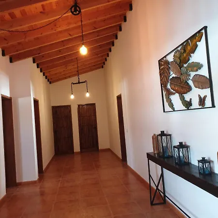 Palmeras