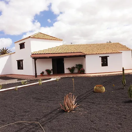 Palmeras Villa Antigua (Fuerteventura)