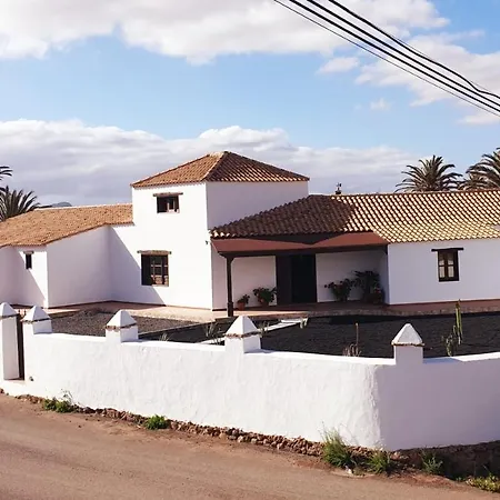 Palmeras Villa Antigua (Fuerteventura)