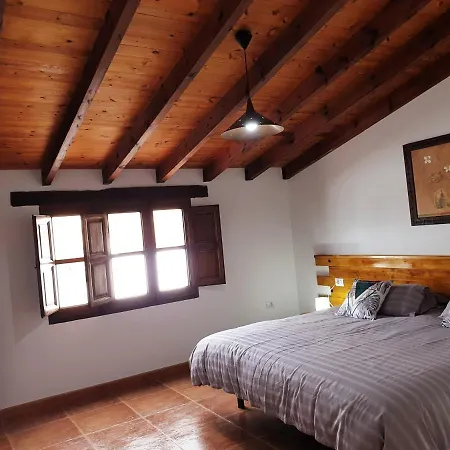 Palmeras Villa Antigua (Fuerteventura)