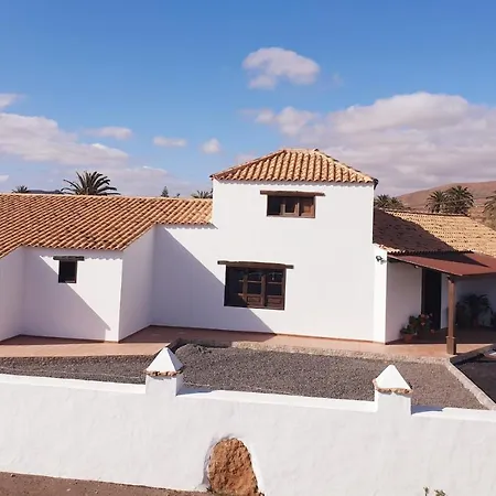 Palmeras Villa Antigua (Fuerteventura)