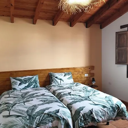 Palmeras Villa