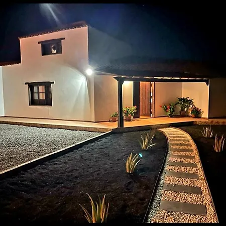Palmeras Villa